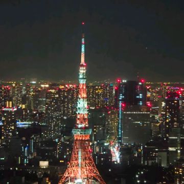 メリーさんのナゾ活写真 2