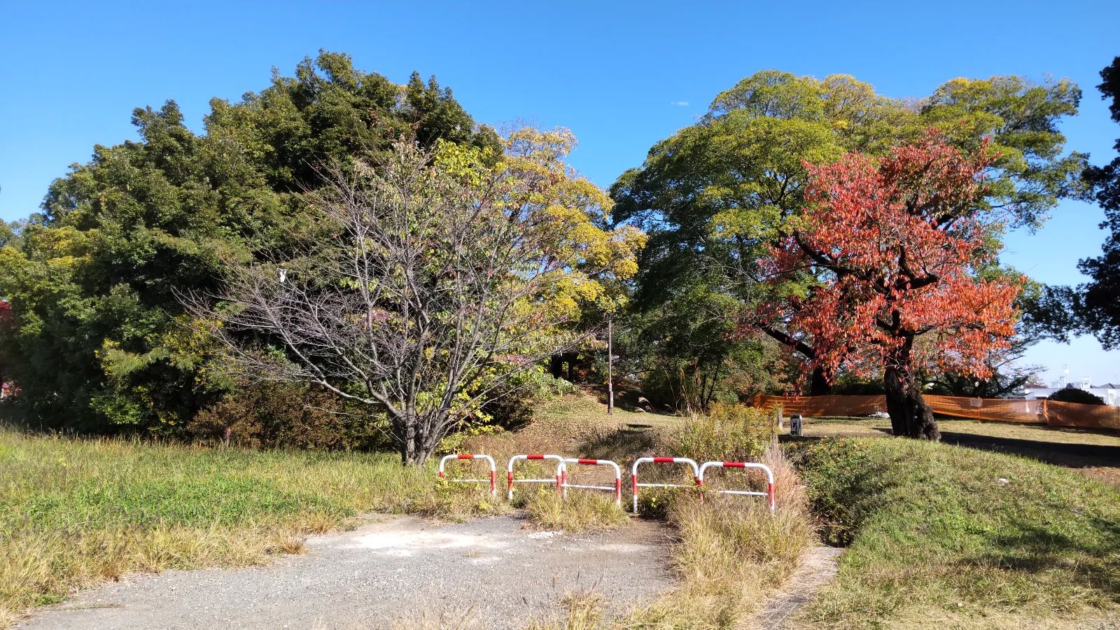 なぞたび列車物語 -不思議な町の遥かなる想い-のナゾ活写真