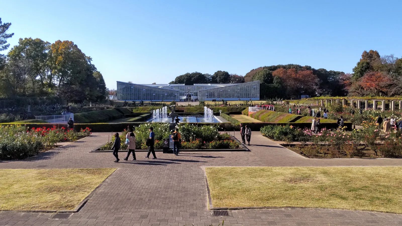 深大寺恋物語謎解き2025のナゾ活写真