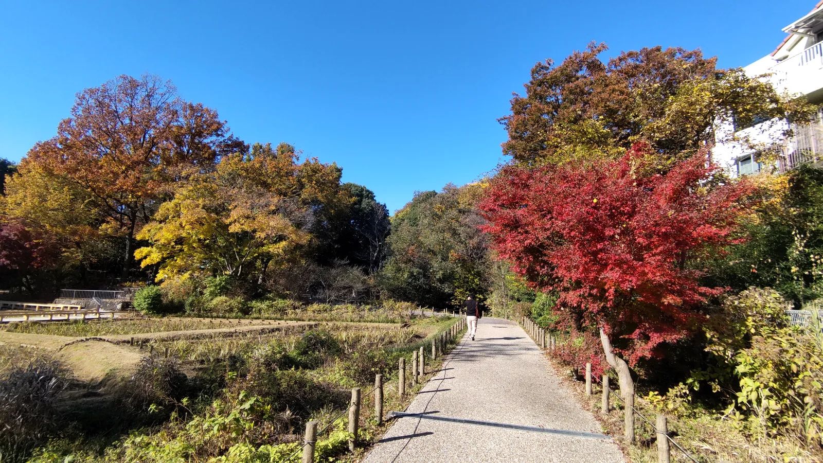 深大寺恋物語謎解き2025のナゾ活写真