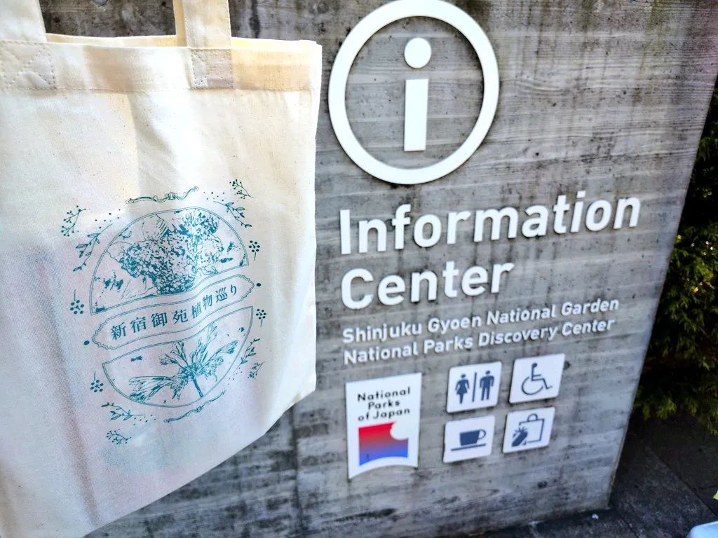 新宿御苑植物巡り 朝焼け編のナゾ活写真