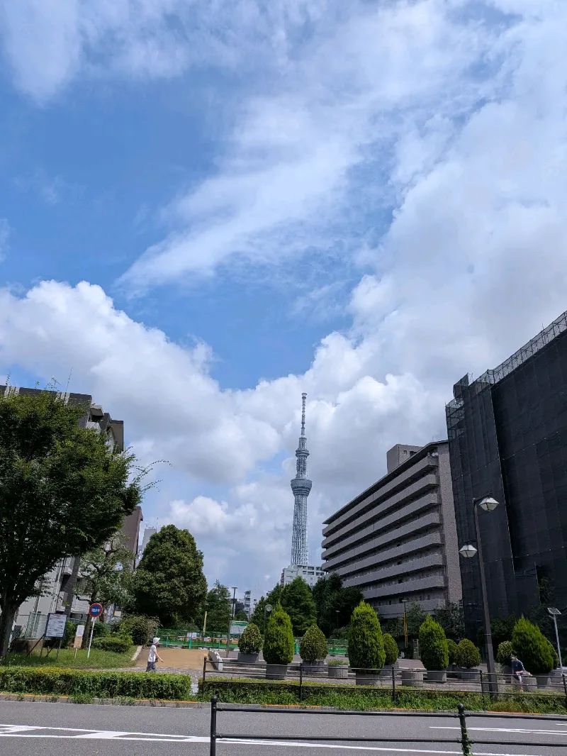 パラノマサイト Alt FILE23 本所にゃにゃ不思議 powered by Catripすみだのナゾ活写真