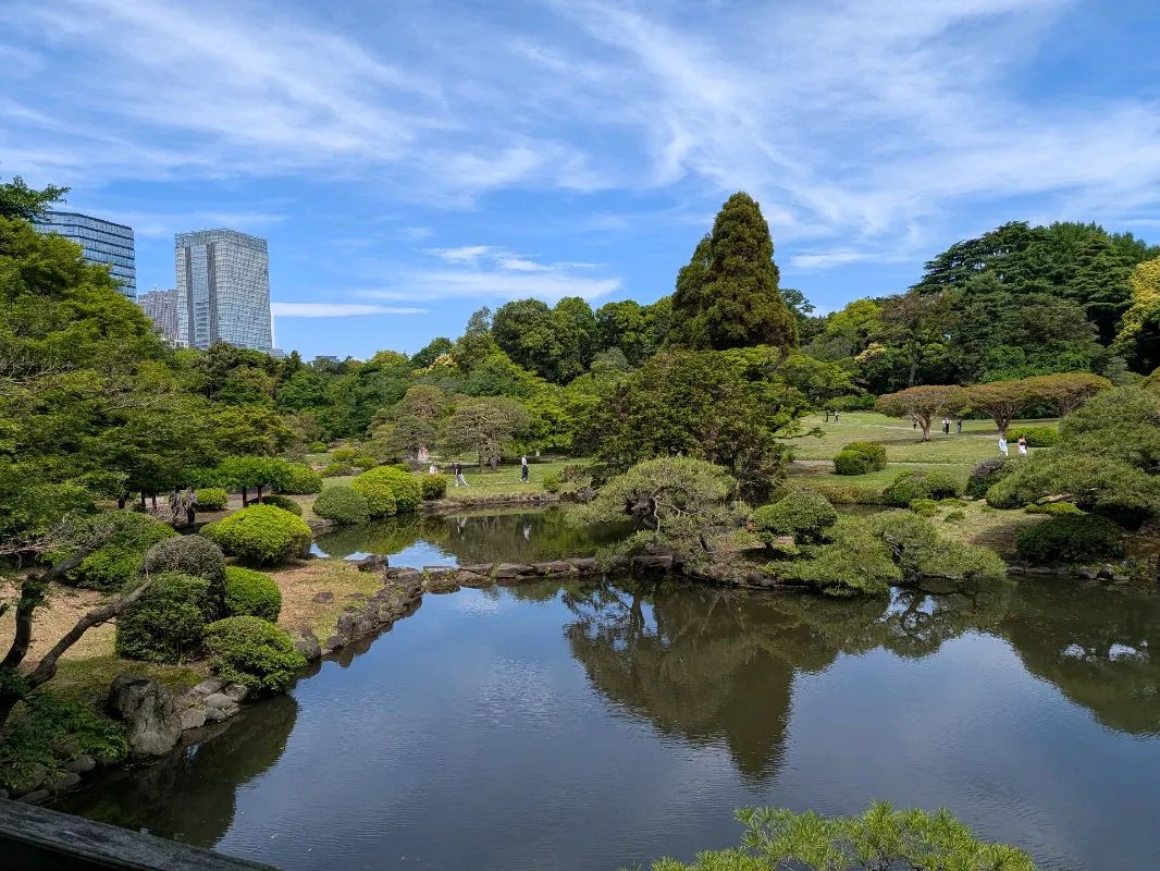 新宿御苑植物巡り（朝焼け編、夕焼け編、宵編）のナゾ活写真