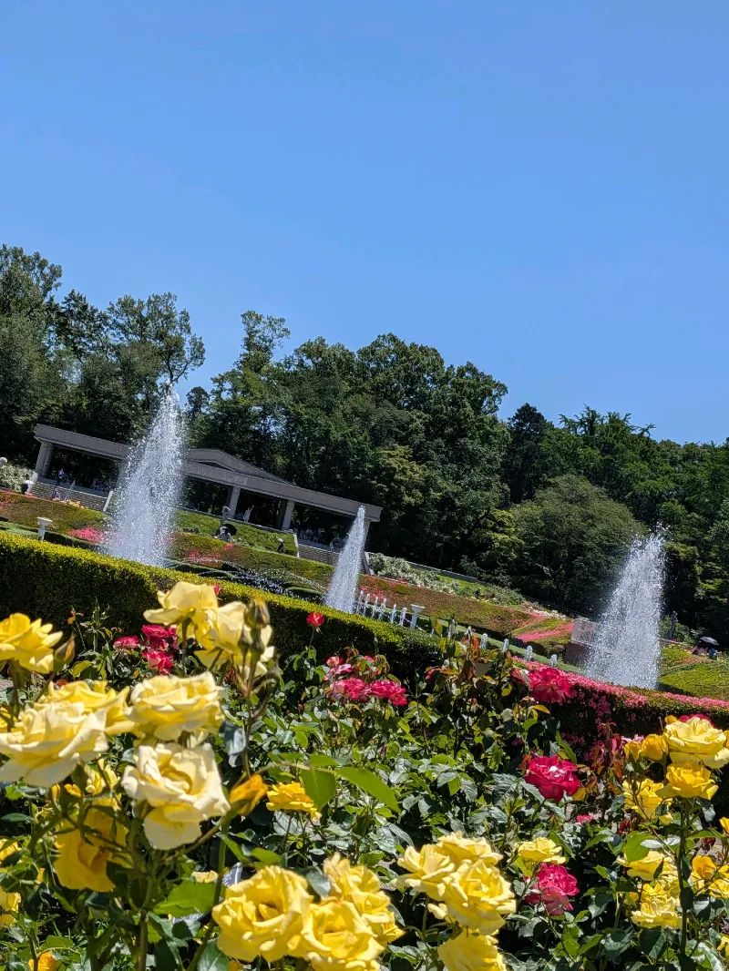 深大寺恋物語謎解き2025のナゾ活写真