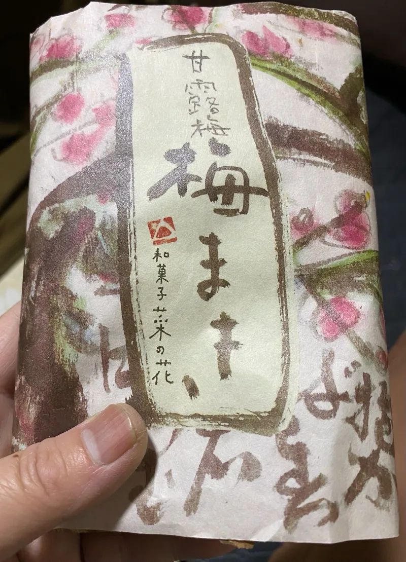 小田急謎街トレイン2026のナゾ活写真