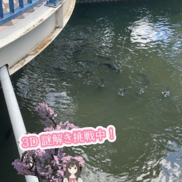 Rayle4264さんのナゾ活写真 4