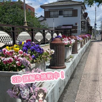 Rayle4264さんのナゾ活写真 2