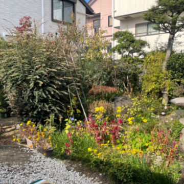 Rayle4264さんのナゾ活写真 1