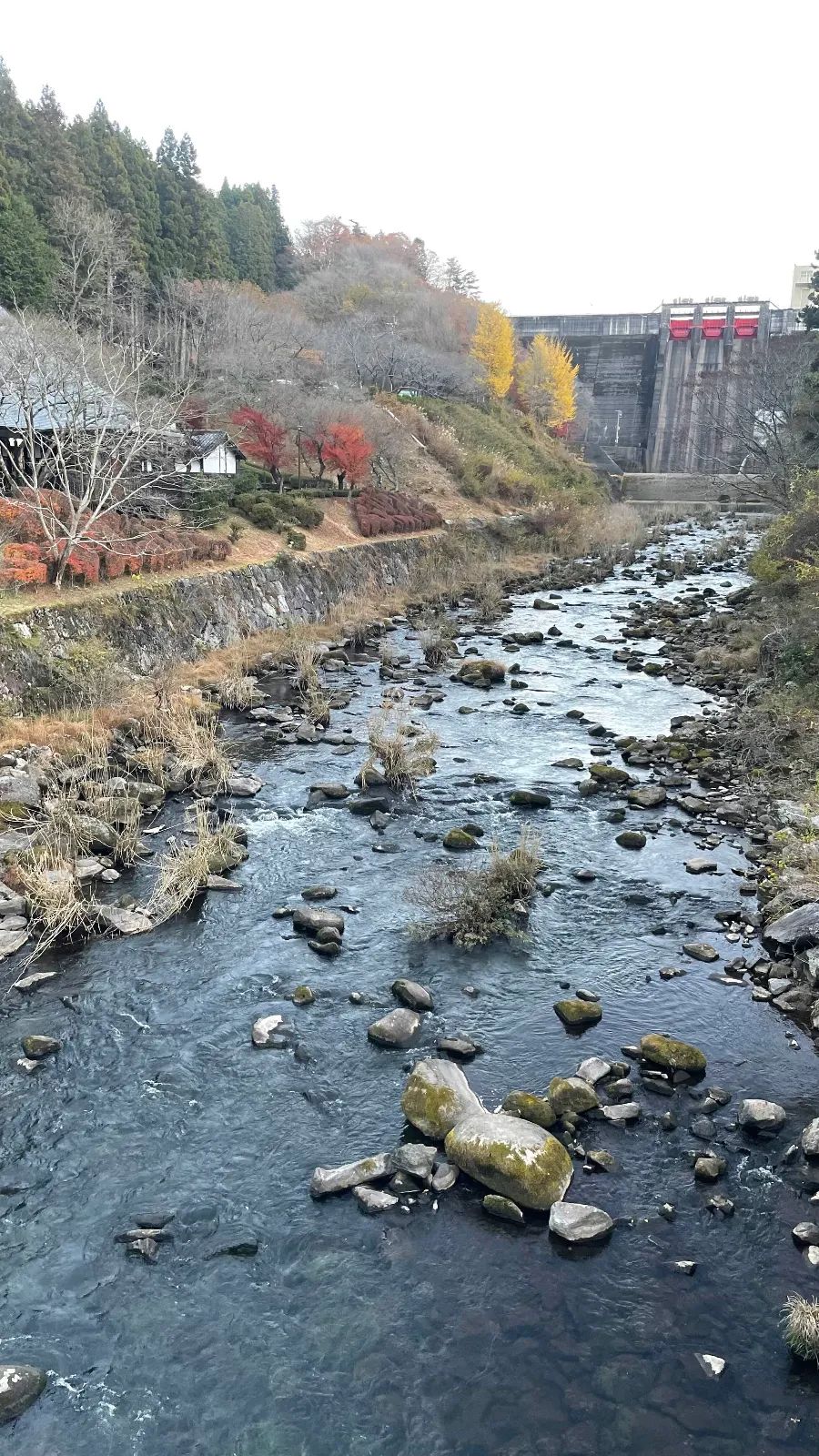 Shimoyama Quest2025　龍が守りし秘宝とラリーカーの秘密のナゾ活写真