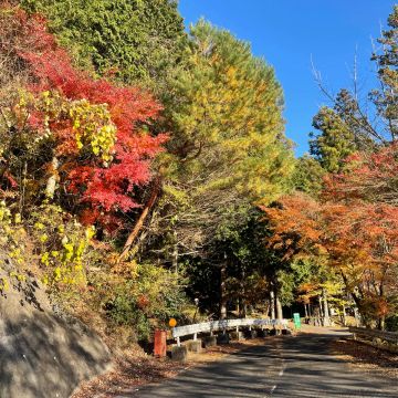 Rayle4264さんのナゾ活写真 2