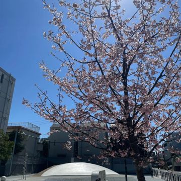 Rayle4264さんのナゾ活写真 1