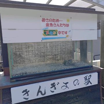 まけませんさんのナゾ活写真 1