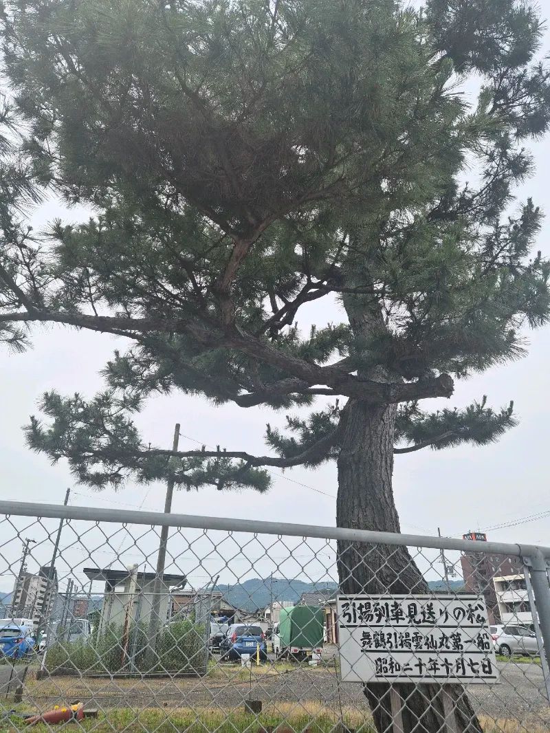 西舞鶴謎解き街めぐり「舞と不思議な万年筆」のナゾ活写真