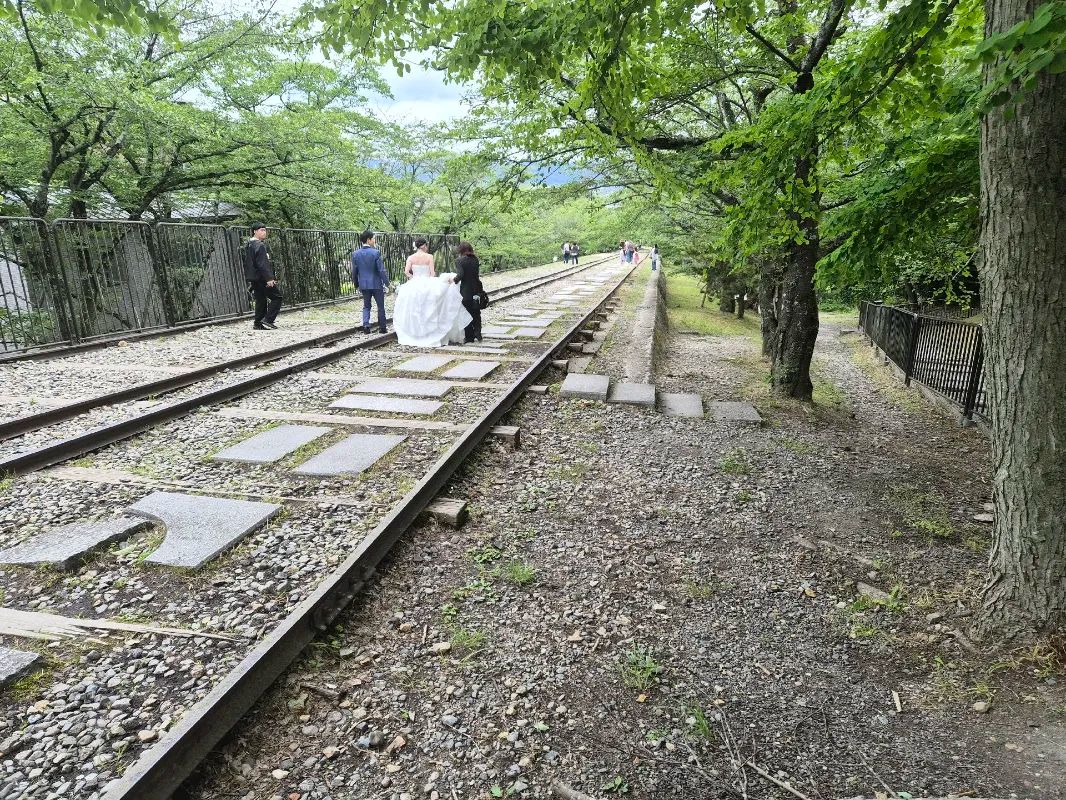 『京都謎解き列車旅』のナゾ活写真