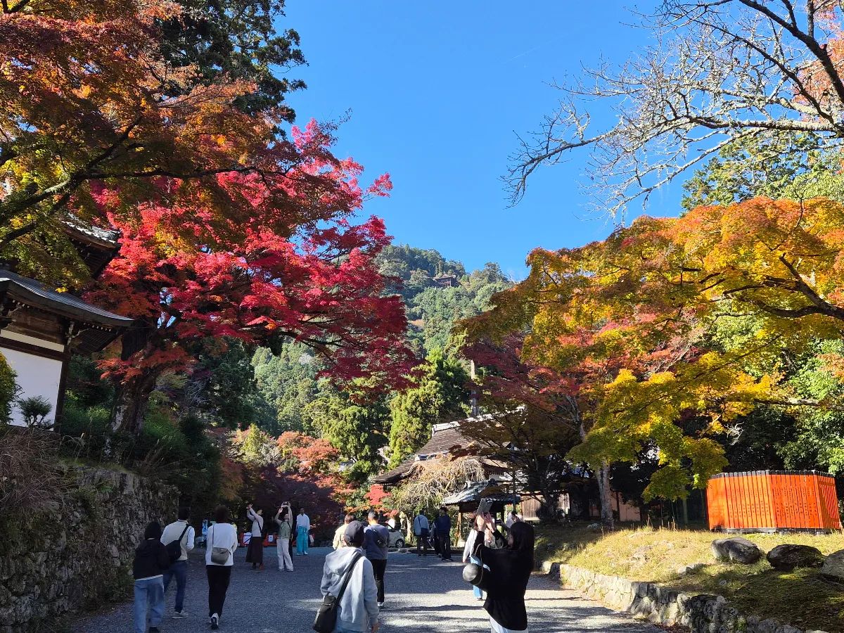 おさる急便と空の贈り物のナゾ活写真