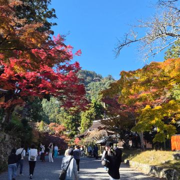 まけませんさんのナゾ活写真 1