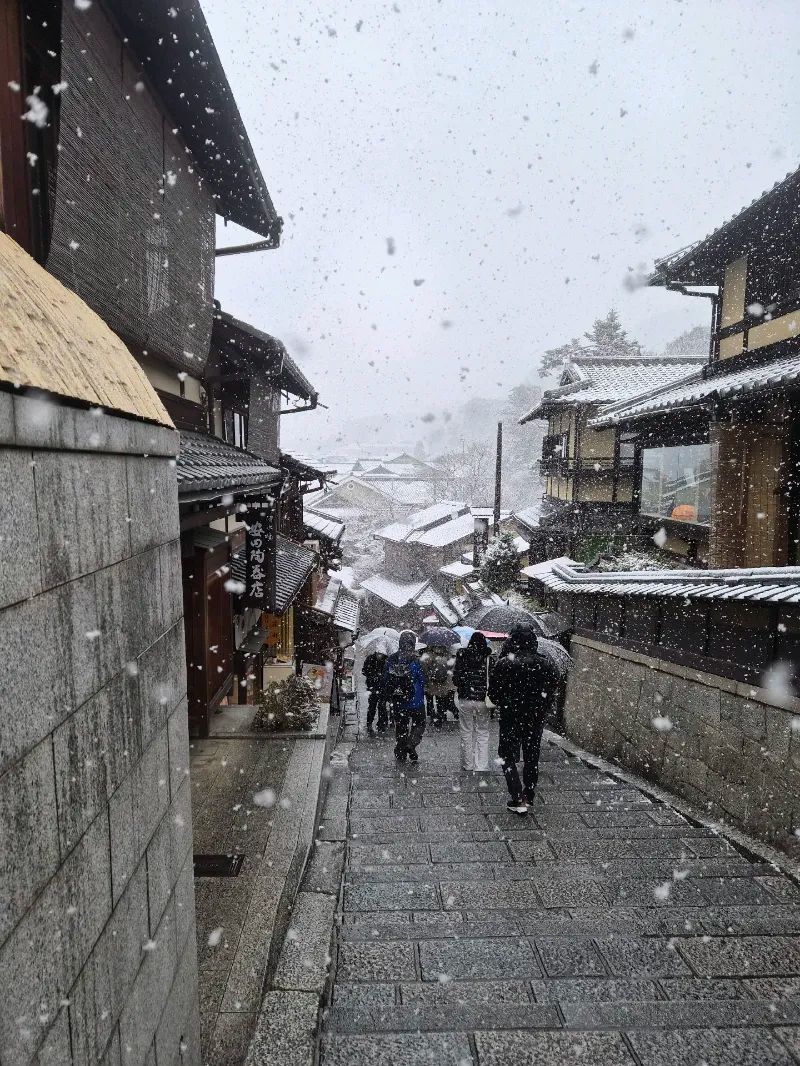 京都へ宝探しに出かけよう！第7弾　翔け出せ！神馬の京都吉祥めぐりのナゾ活写真