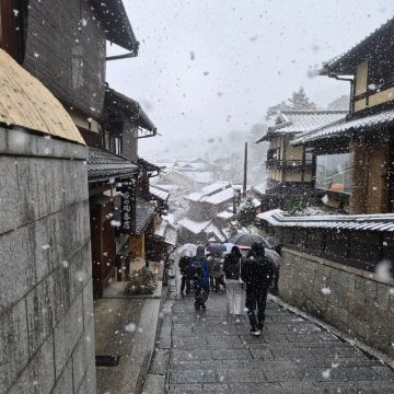 まけませんさんのナゾ活写真 1