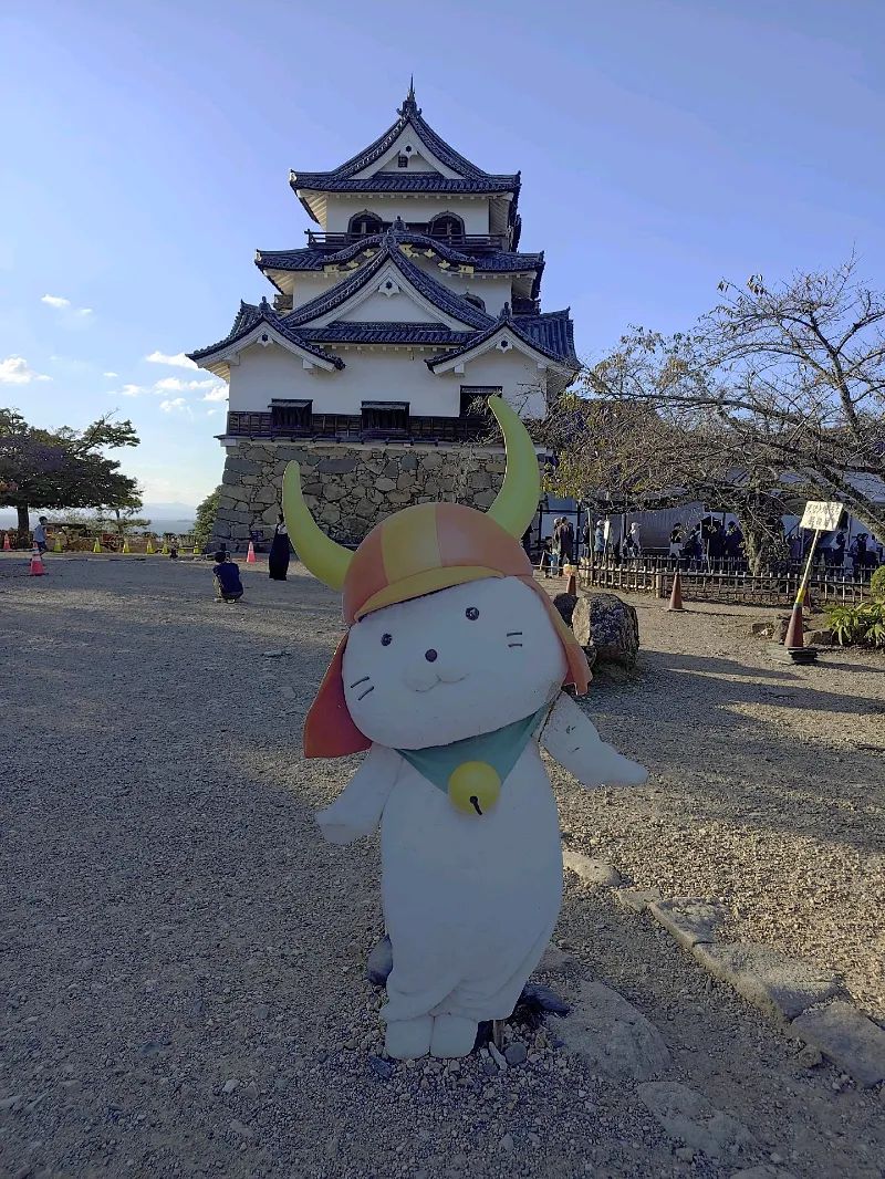 まけませんさんのナゾ活写真 1
