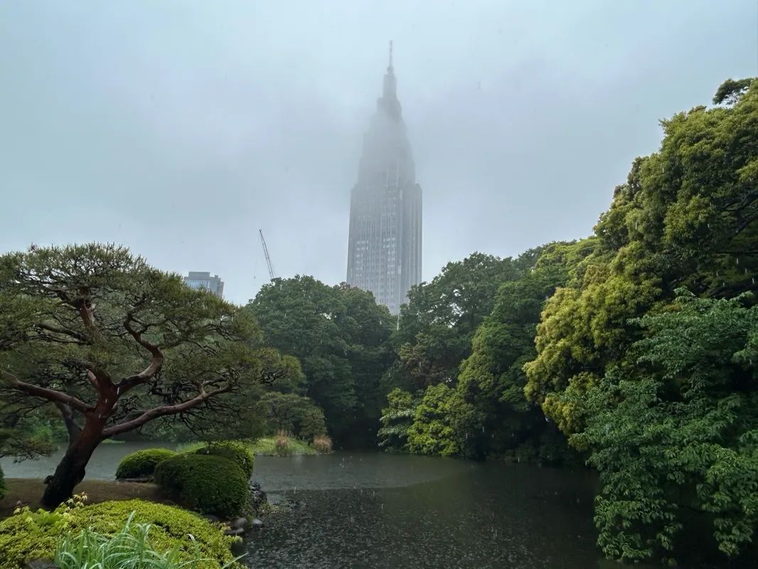 新宿御苑植物巡り 夕焼け編のナゾ活写真