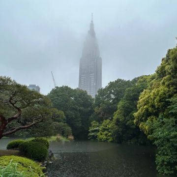 Allyさんのナゾ活写真 1