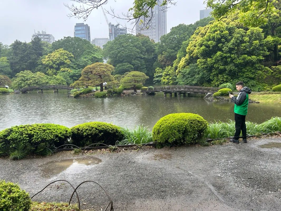 新宿御苑植物巡り 夕焼け編のナゾ活写真