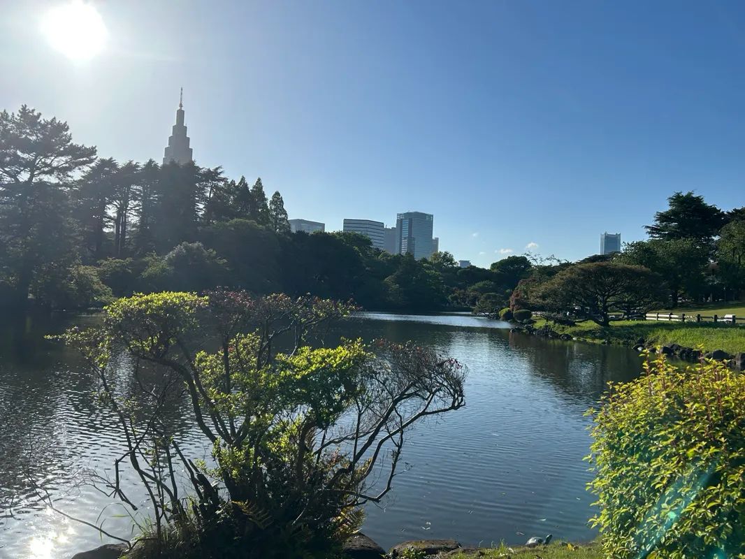 新宿御苑植物巡り 朝焼け編のナゾ活写真