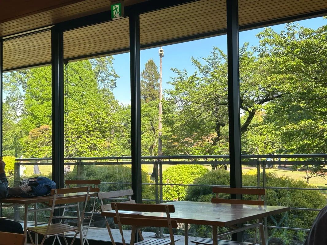 新宿御苑植物巡り 朝焼け編のナゾ活写真