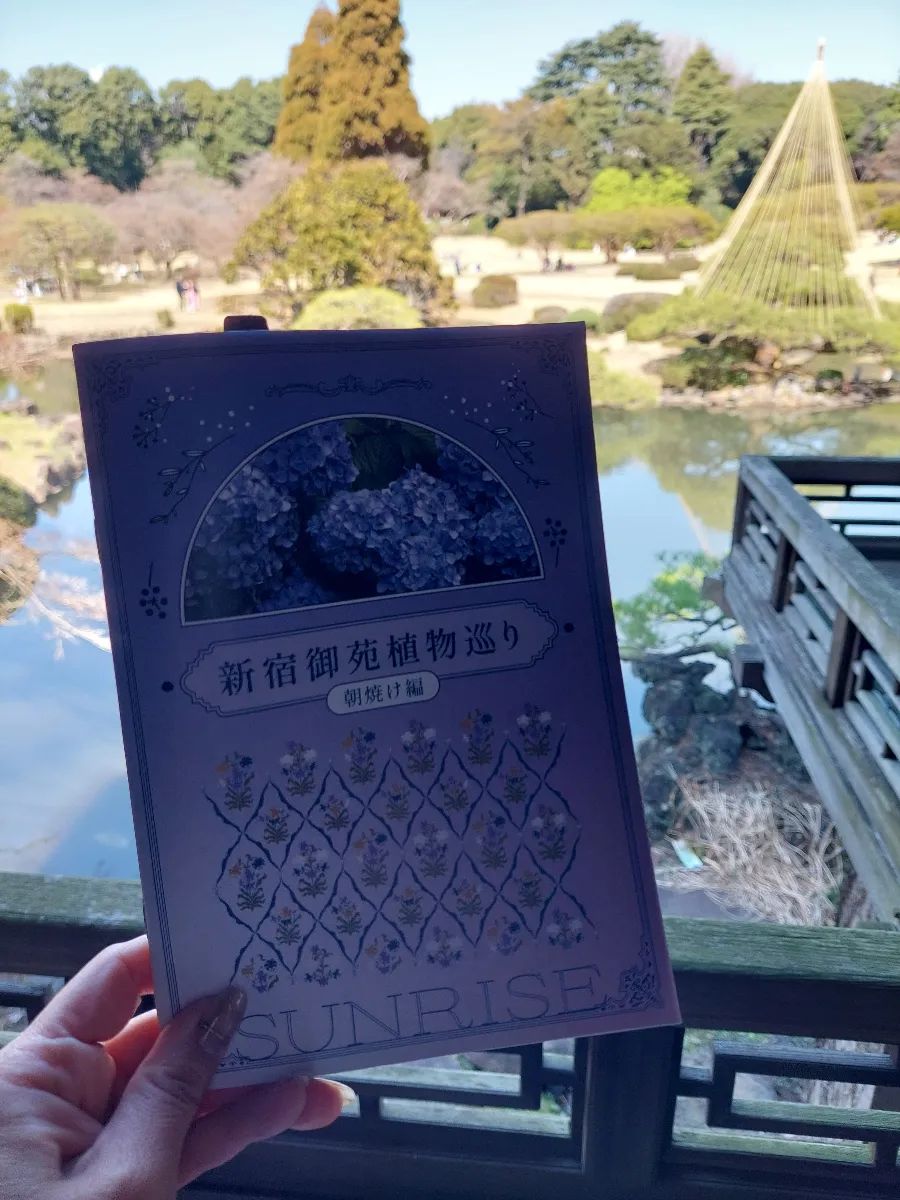 新宿御苑植物巡り 朝焼け編のナゾ活写真