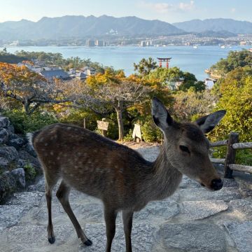 メテオさんのナゾ活写真 3
