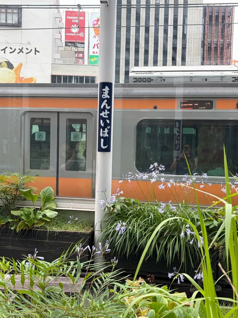 導かれてしまいますのナゾ活写真