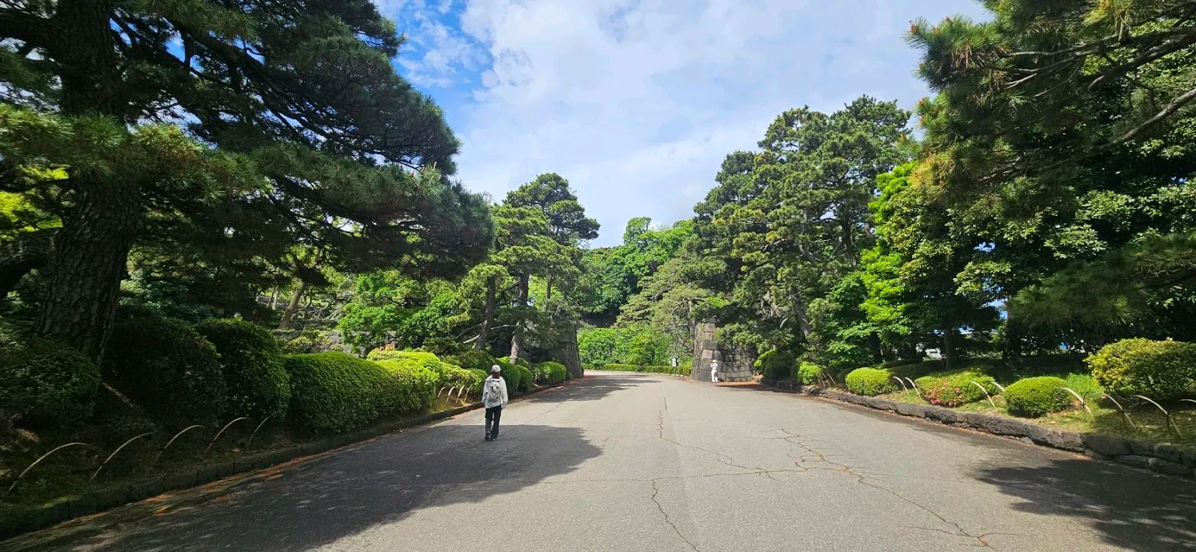 皇居を巡る謎解きの旅 with QuizKnockのナゾ活写真