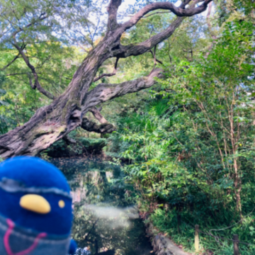 久川さんのナゾ活写真 2