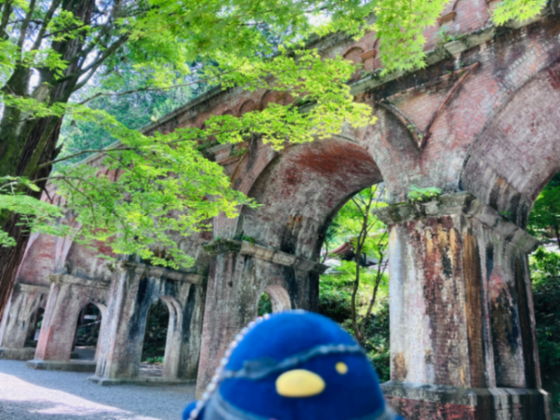 『京都謎解き列車旅』のナゾ活写真
