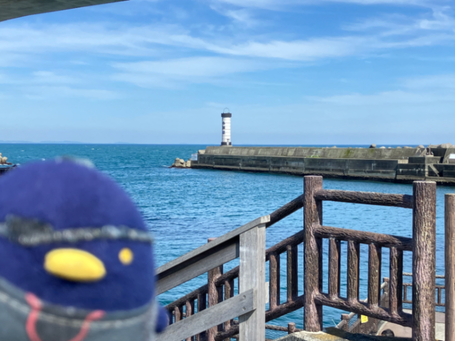 小田原謎解き街歩きのナゾ活写真