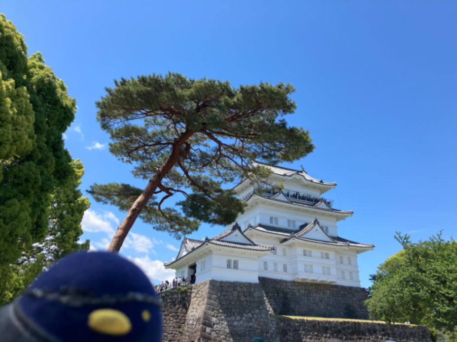 小田原謎解き街歩きのナゾ活写真