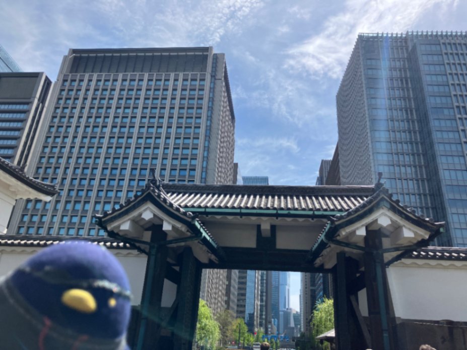 皇居を巡る謎解きの旅 with QuizKnockのナゾ活写真