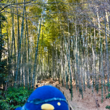 久川さんのナゾ活写真 3