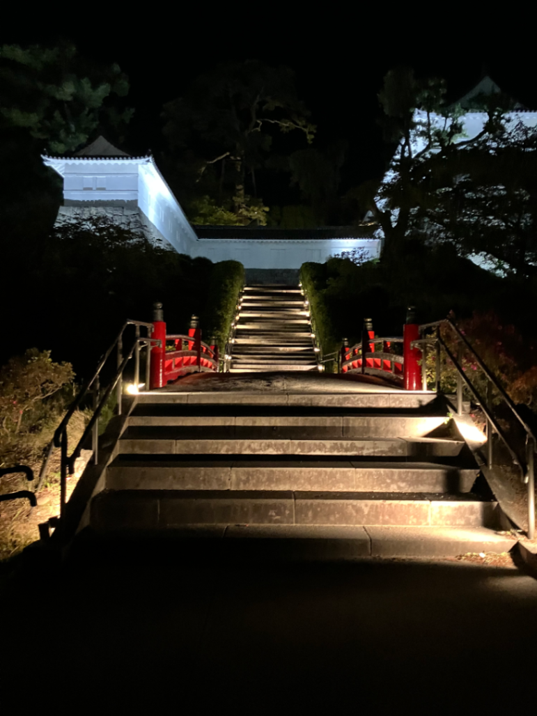 小田急謎街トレイン2026のナゾ活写真