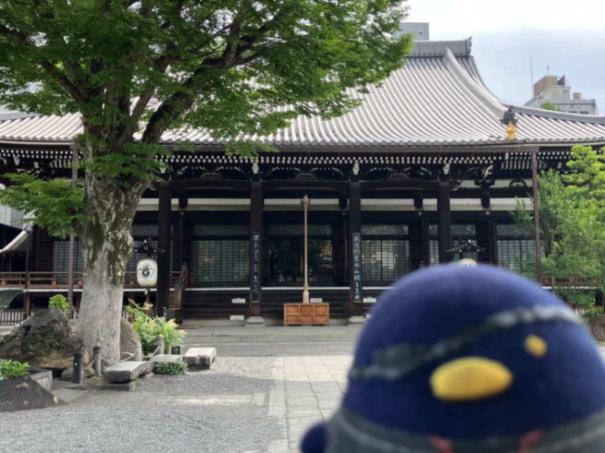 京都謎解き街歩きのナゾ活写真