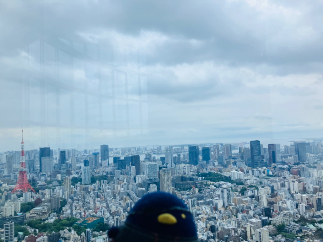 危機迫る展望台からの脱出のナゾ活写真