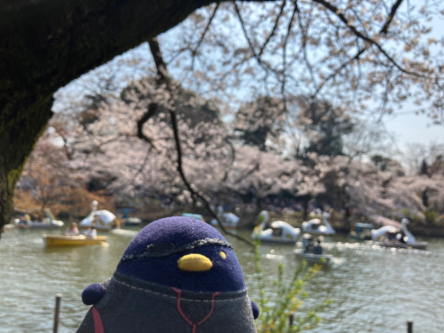 吉祥寺謎解き 追憶のアルバムのナゾ活写真