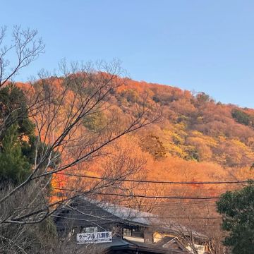 coro_7oさんのナゾ活写真 2