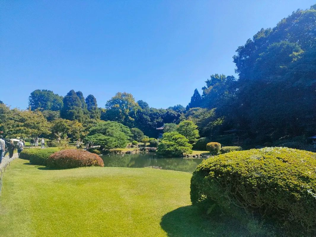 新宿御苑植物巡り 朝焼け編のナゾ活写真
