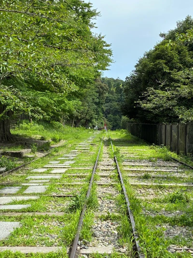 『京都謎解き列車旅』のナゾ活写真