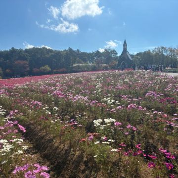 なおはままさんのナゾ活写真 2