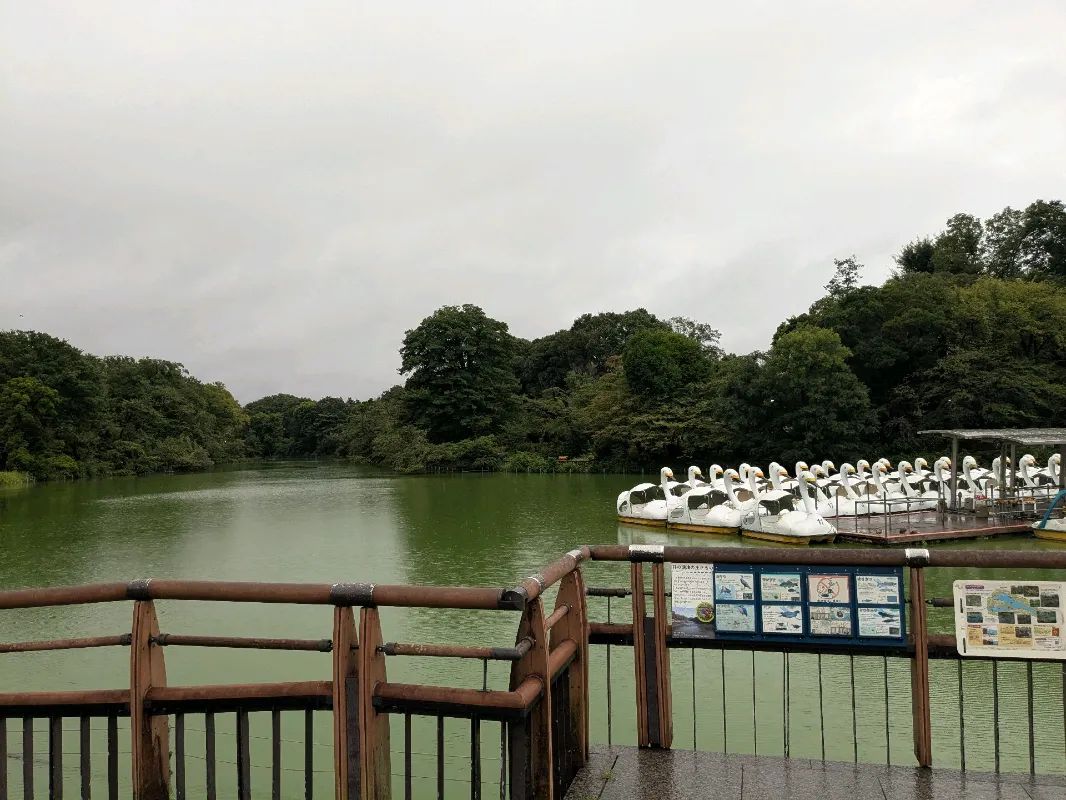 吉祥寺謎解き街歩きのナゾ活写真