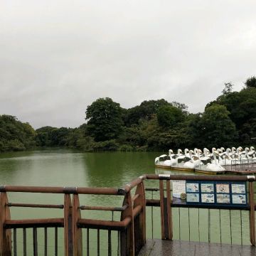 わらび餅が好きさんのナゾ活写真 1