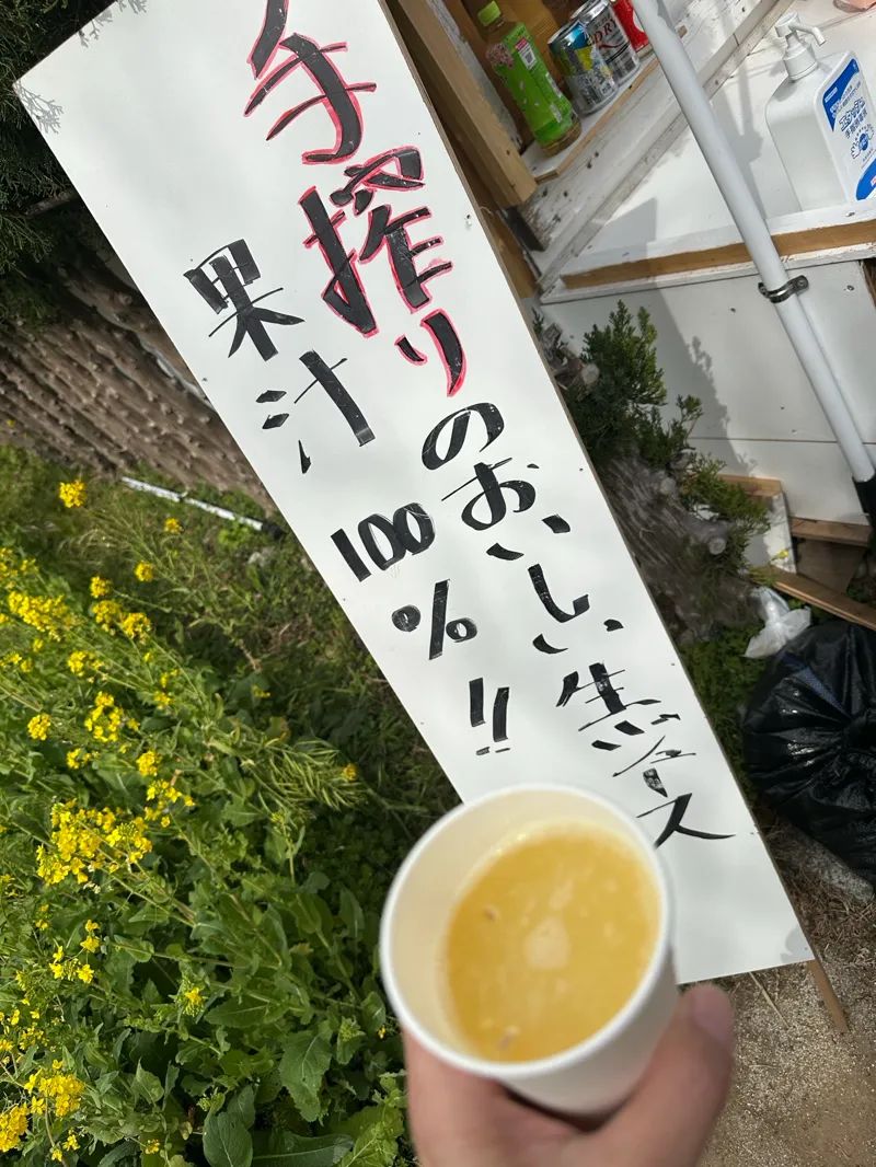【河津町の桜周辺】マップ連動型の3D謎解きに挑戦！「時計仕掛けの桜の街～託された夢の秘密を解き明かせ～」のナゾ活写真