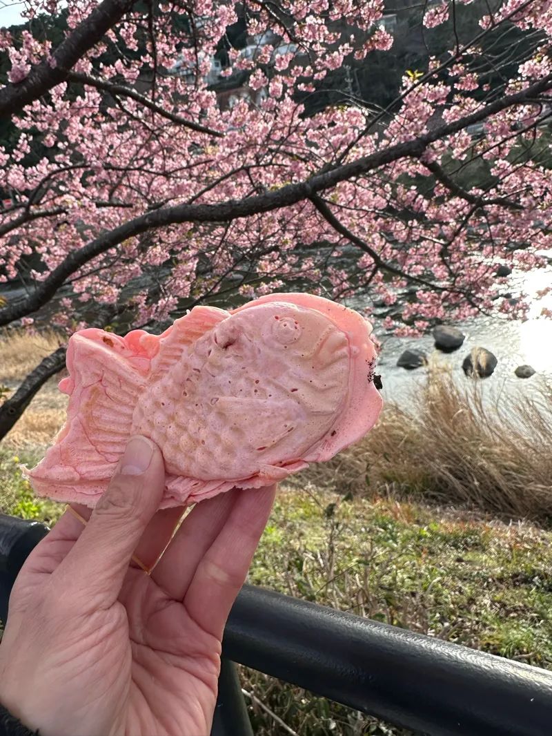 【河津町の桜周辺】マップ連動型の3D謎解きに挑戦！「時計仕掛けの桜の街～託された夢の秘密を解き明かせ～」のナゾ活写真
